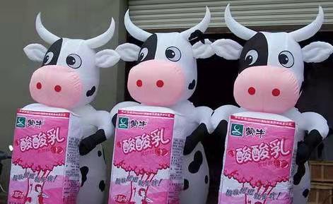 广阳牛奶厂广告气模